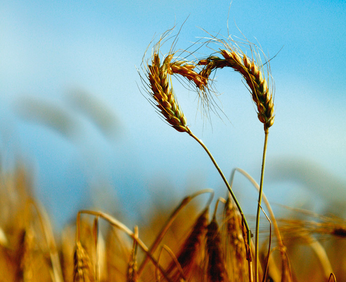 link-zu-nahrung-Enterale Ernährung und Zusatznahrung